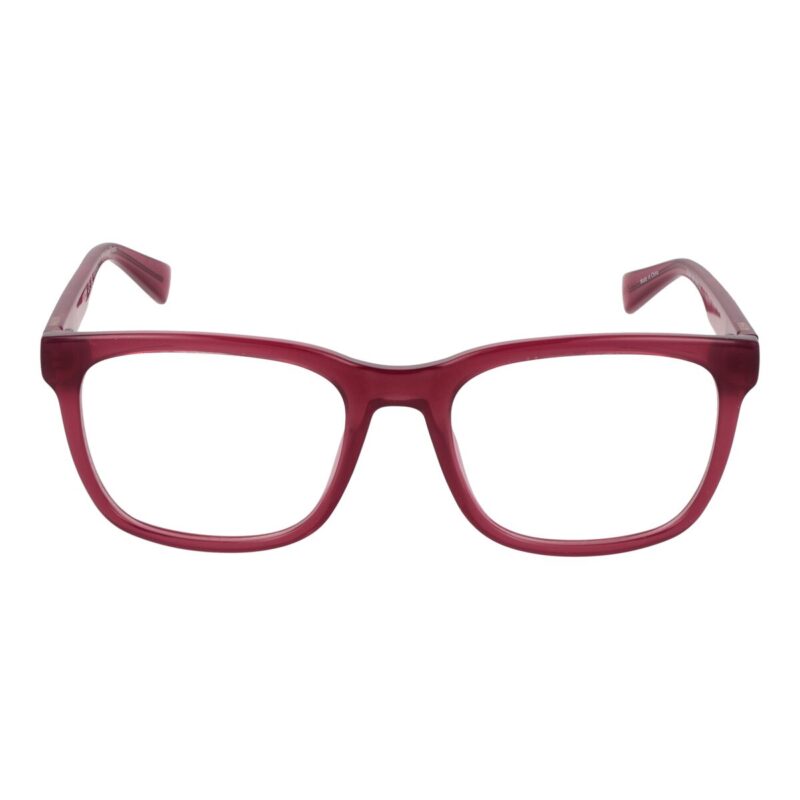 S72109993_1 S72109993_1