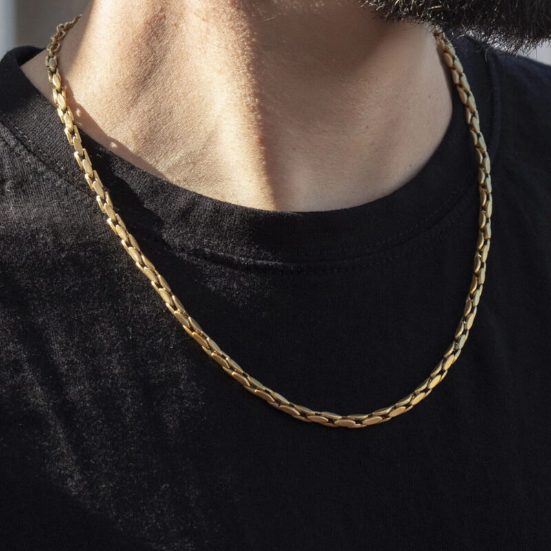 S72132111_1 S72132111_1