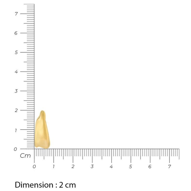 S72129074_2